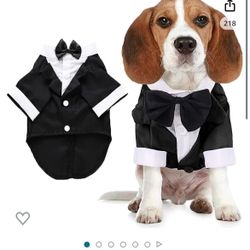 Huge Variety of Pet Collars, Leashes, Harnesses, Costumes and More! $5 each or 3 for $10 All Different Styles & Sizes Available  Stop On In This Week 