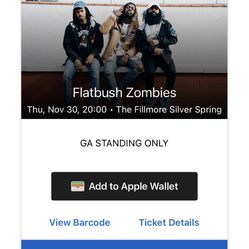 flatbush zombies M&G ticket