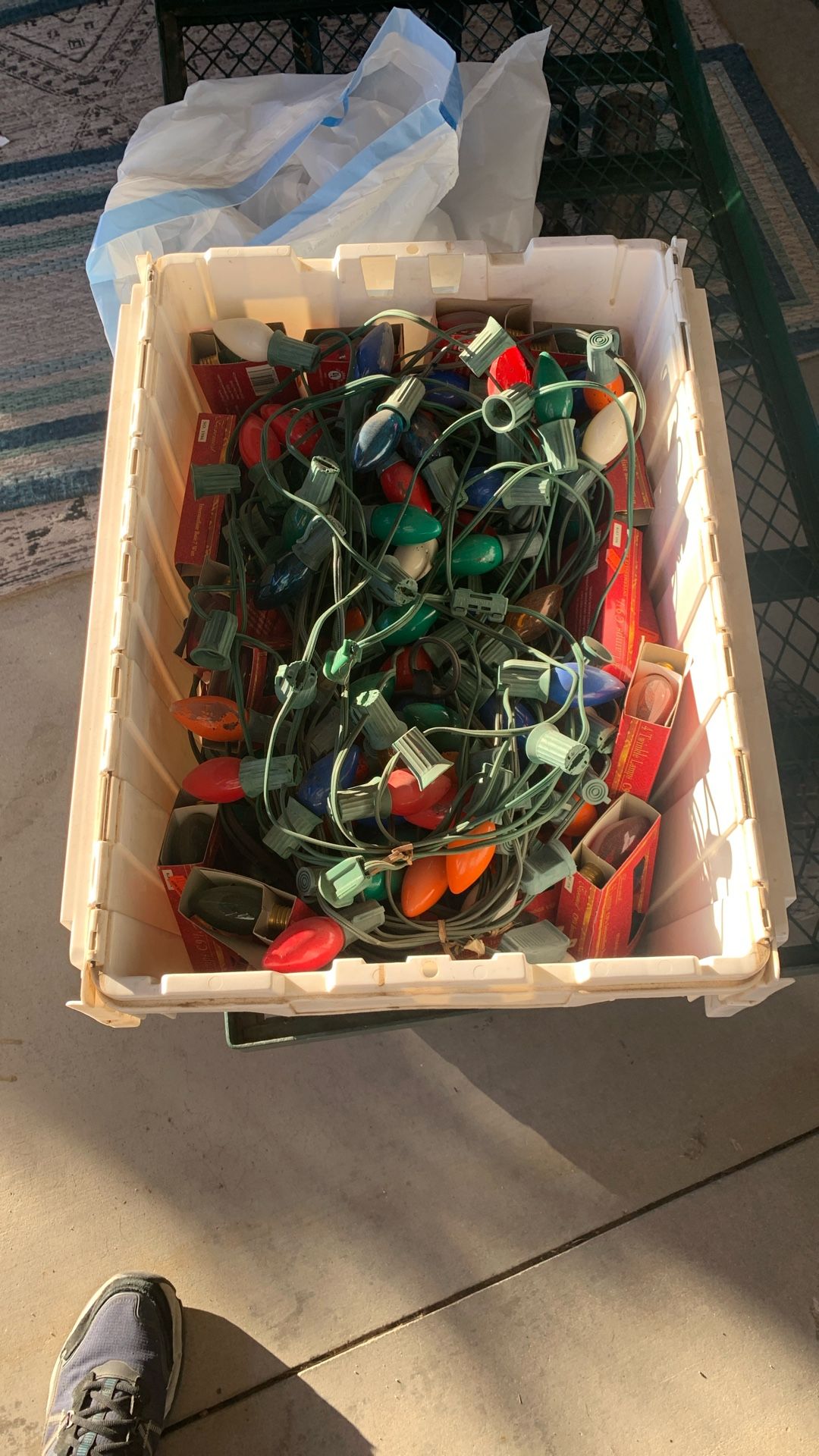 Outside Christmas lights