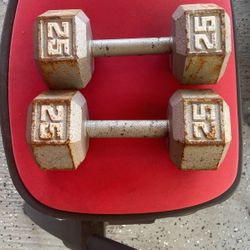 25 Lb Dumbbells 