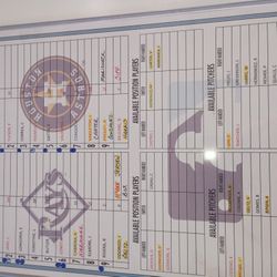 Houston Astros/ Tampa Bay Authentic( Dugout) Player  Lineup 
