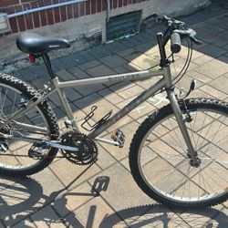 Giant Boulder 18” Mountain Bike 