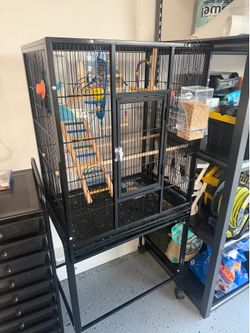 Bird cage