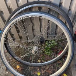 Bike Wheels 