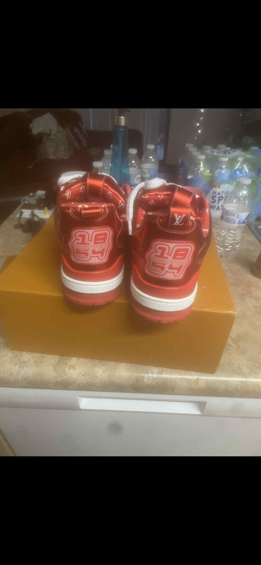 Louis Vuitton sneakers