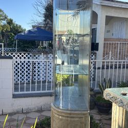 Gold Glass Shelf  Curio