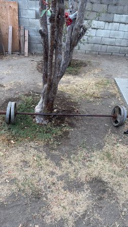 25lb weight gym played Olympic size entry