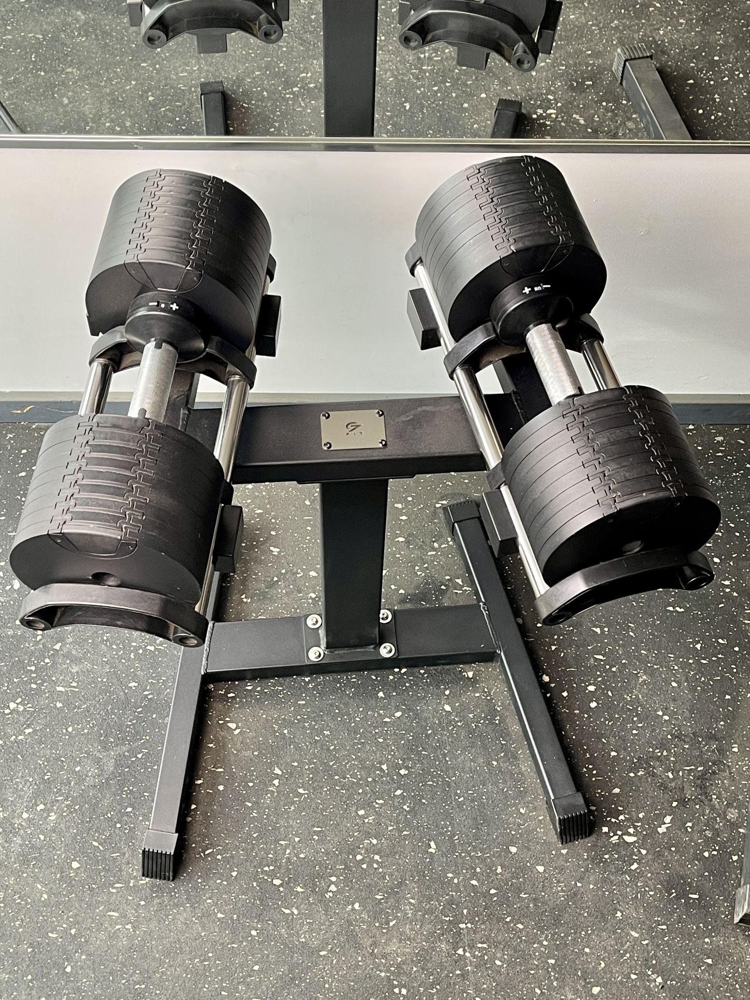 G7Fit 80 Pounds Adjustable Dumbbells With Rack