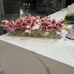 Lindo Arreglo Echo Por Mi 