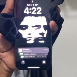 Iphone 13 Pro Back Damaged 