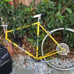Free Bike Frame & Parts