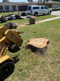 Stump Grind