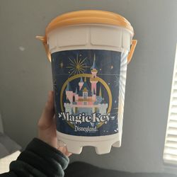 Disney Parks Magic Key Pass Popcorn Bucket 