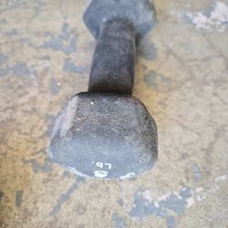 5lbs Single Dumbell