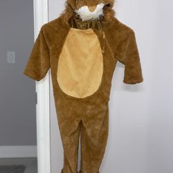 Lion Costume 