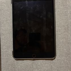 Ipad Mini 4th Gen