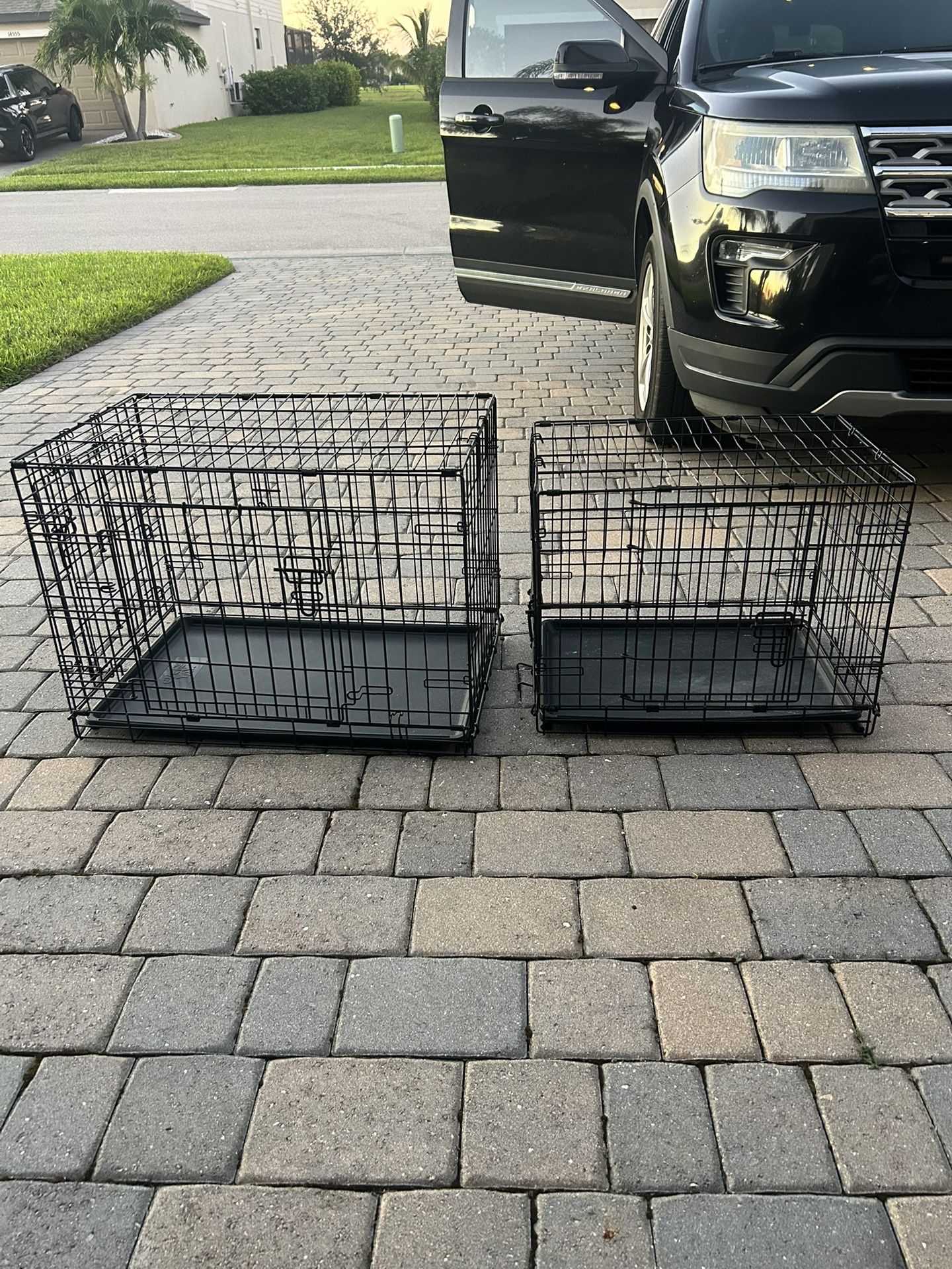 Dog Cages