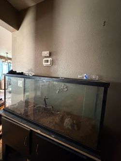 55 gallon long tank