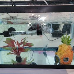 10 Gallon Fish Tank