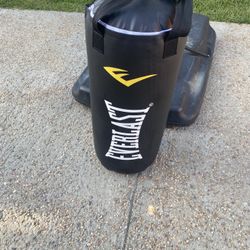 EVERLAST punching bag