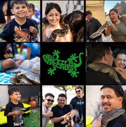 Reptile Show!