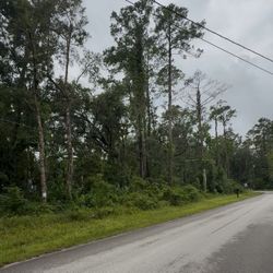 Vacant Land 0.68 Acre– Mobile Homes Allowed – Brooksville