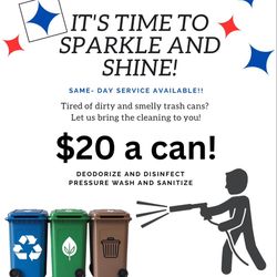 Trash Bin Cleaning