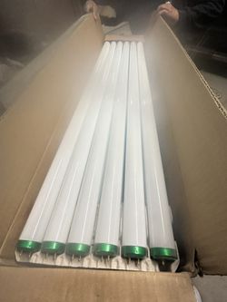 Philips Light Bulbs Case