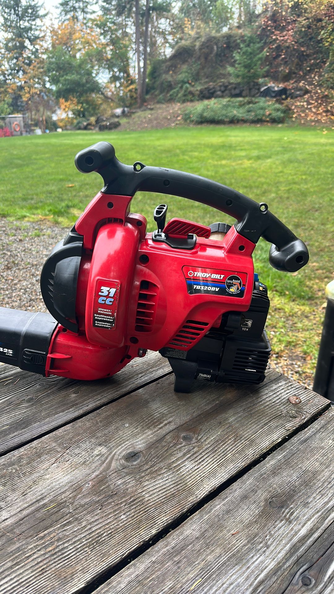 TROY-BILT 2 Cycle Blower