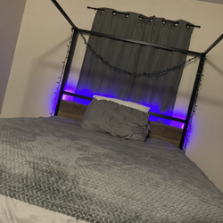 Black canopy bed frame