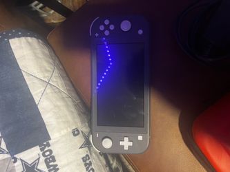 Switch lite