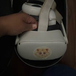 Oculus Headset And Carrying Case