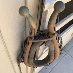 Collar And Haynes Plus Latigo Harness