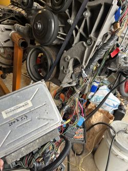 Gm ls P59 P01 Stand Alone Pcm , Wire Harness