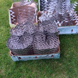 Bird Spikes