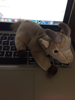 TY beanie baby -GOATEE the goat