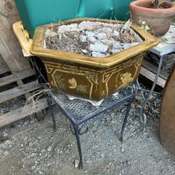 Plants all different prices