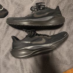 Nike Pegasus 41 Men’s Size 14