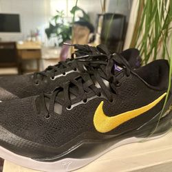 Kobe 8