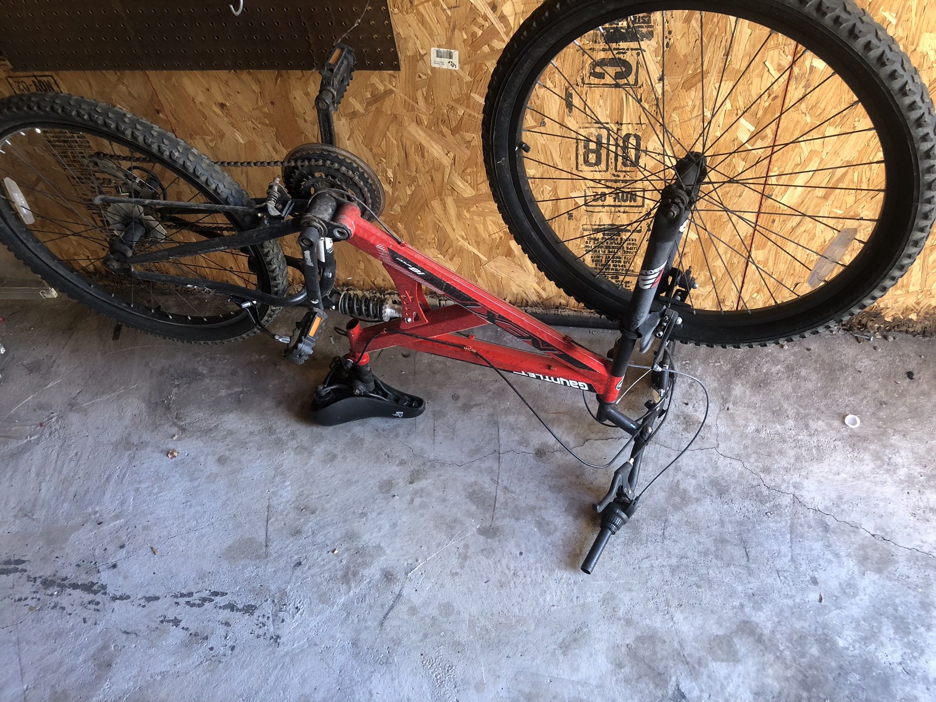 Mountain Bike