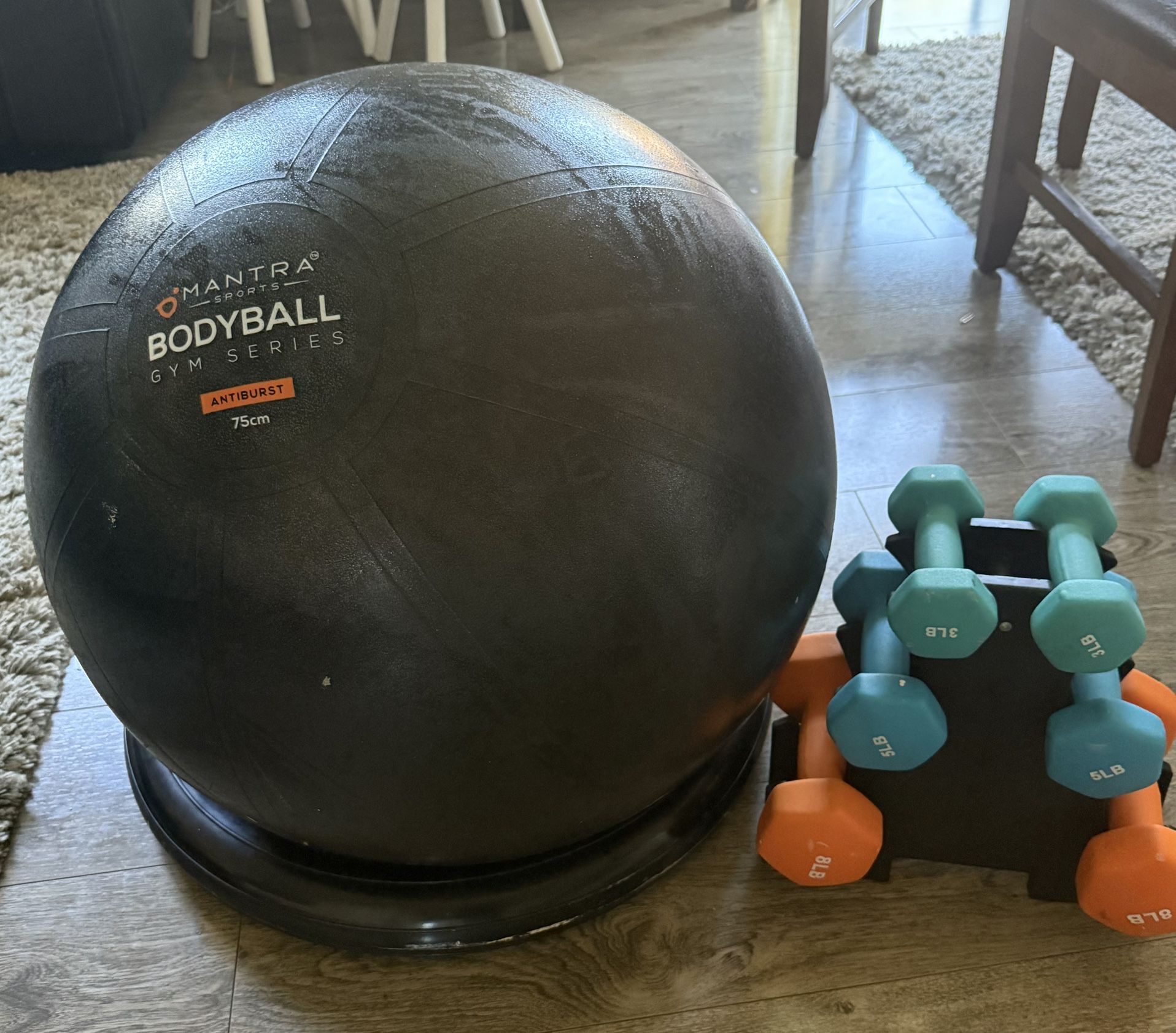 Adjustable Dumbbell Set and SPORTS Yoga Exercise Ball