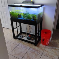  40 Gallon Fish Tank ( Fish Not Included) 