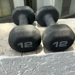 12lbs Dumbbells 