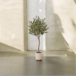 Faux 6.5' Indoor Topiary Lifelike Olive Tree w/ Planter New In Box