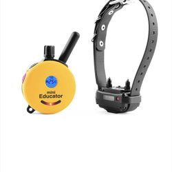 E-collar Technology Dog Training 