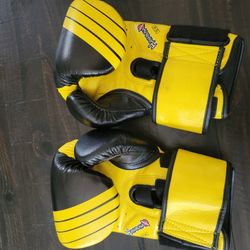 Hayabusa 12 Oz Boxing Gloves