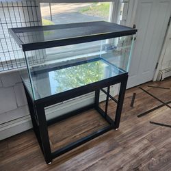 40 Gallon Breeder With Mesh Top And Stand