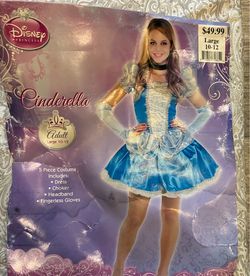 Disney Princess Cinderella Adult Costume Large