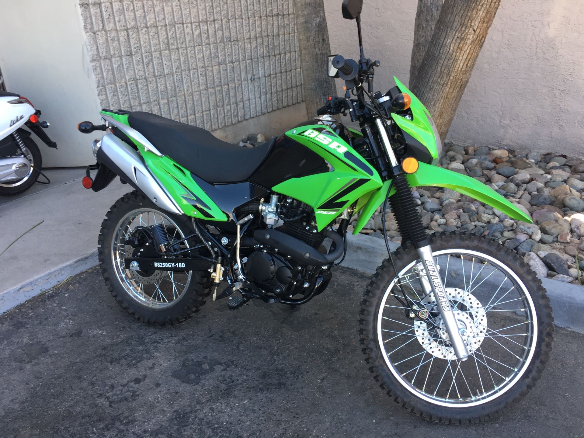 bashan bsr 250
