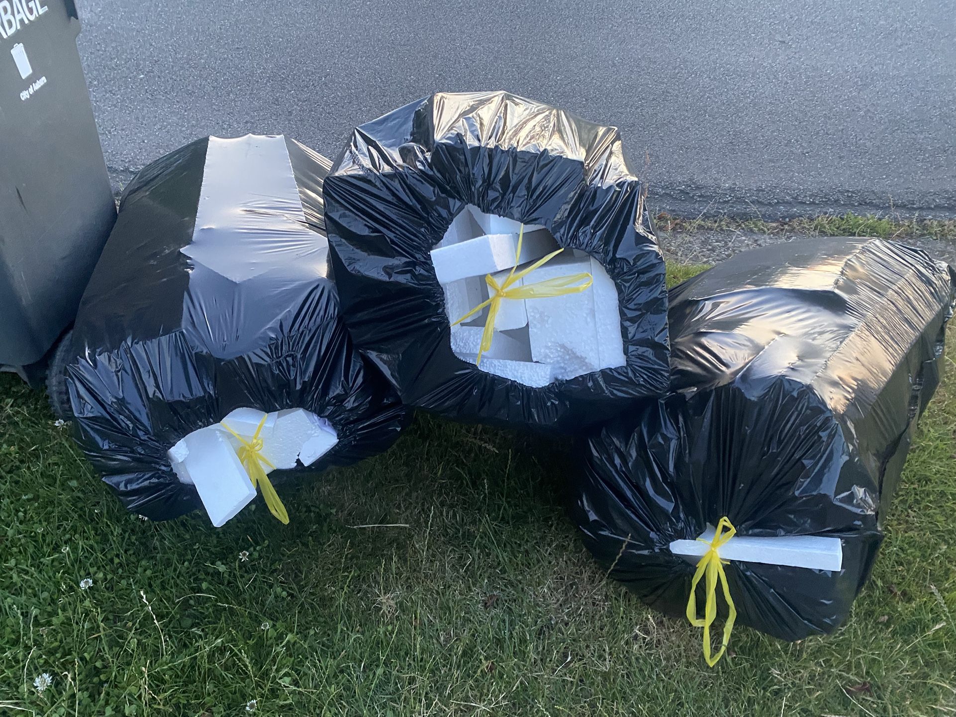 Free Styrofoam & Bubble For Packing 5 Full Bags